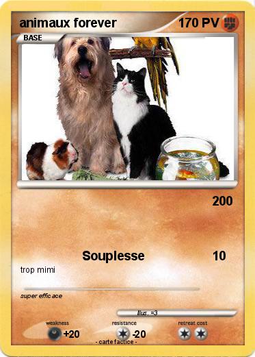 Pokemon animaux forever