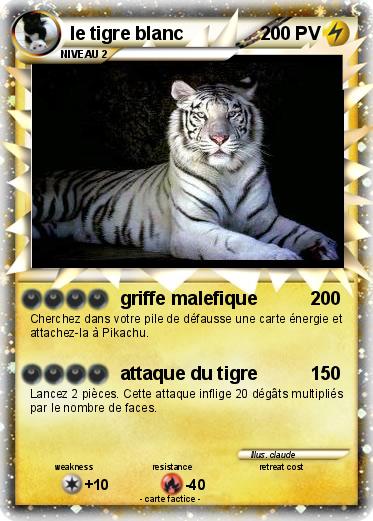 Pokemon le tigre blanc