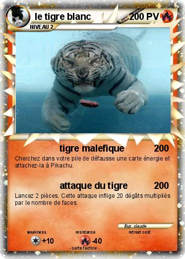 Pokemon le tigre blanc