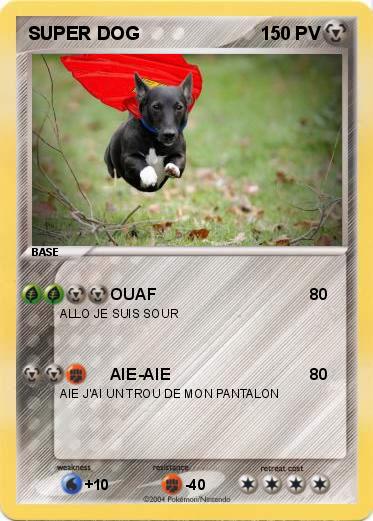 Pokemon SUPER DOG
