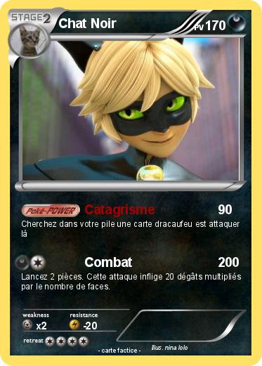 Pokemon Chat Noir