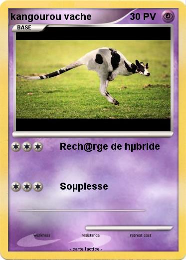 Pokemon kangourou vache