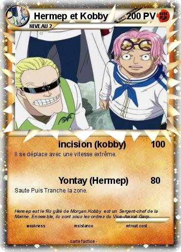 Pokemon Hermep et Kobby