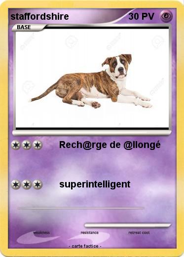 Pokemon staffordshire