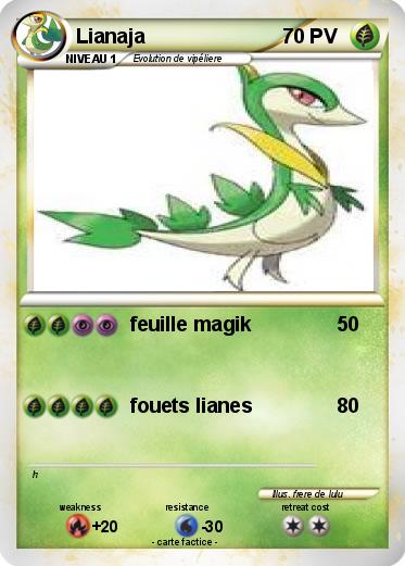 Pokemon Lianaja