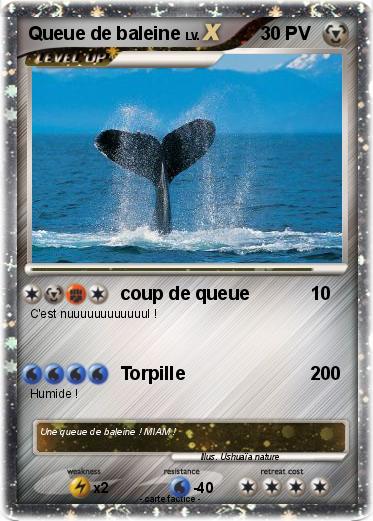 Pokemon Queue de baleine