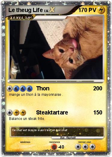 Pokemon Le theug Life