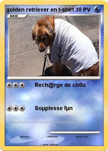 Pokemon golden retriever en t-shirt