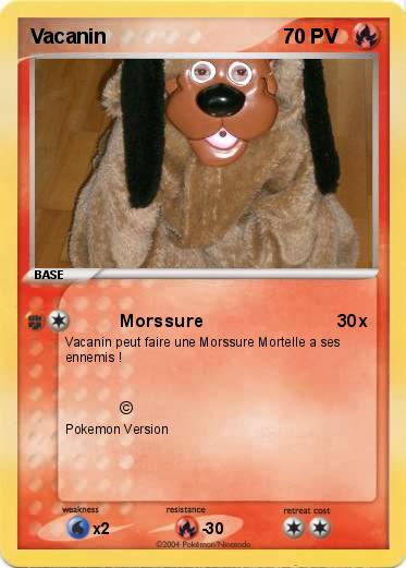 Pokemon Vacanin