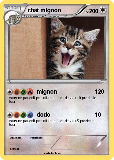 Pokemon chat mignon