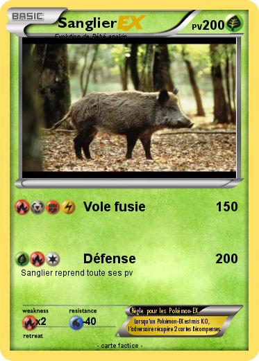 Pokemon Sanglier