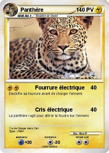 Pokemon Panthère