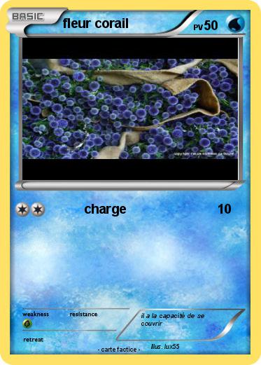 Pokemon fleur corail