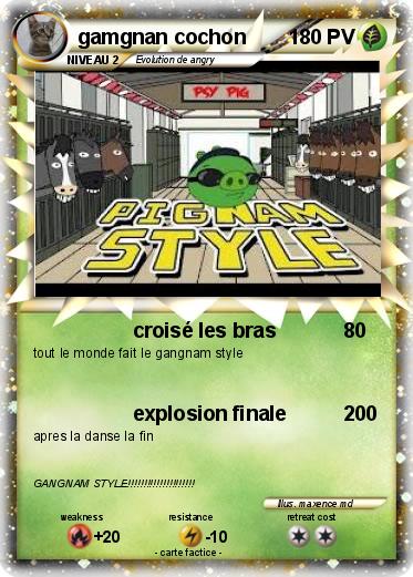 Pokemon gamgnan cochon