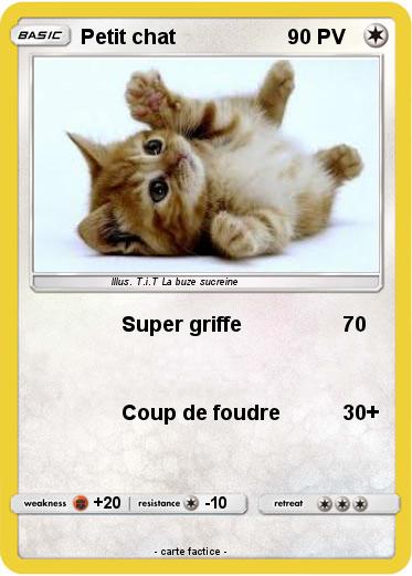 Pokemon Petit chat
