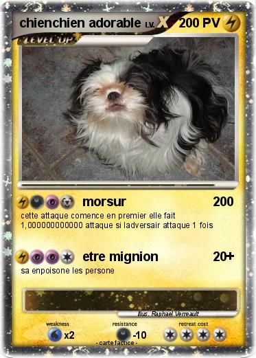 Pokemon chienchien adorable