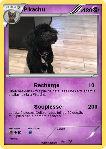 Pokemon Mega ugi