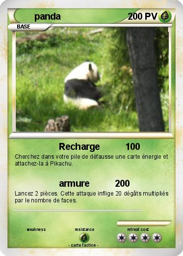 Pokemon panda