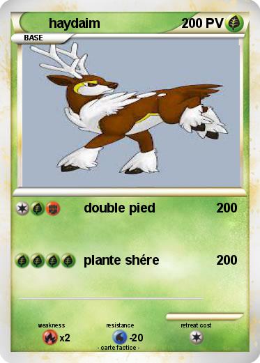 Pokemon haydaim