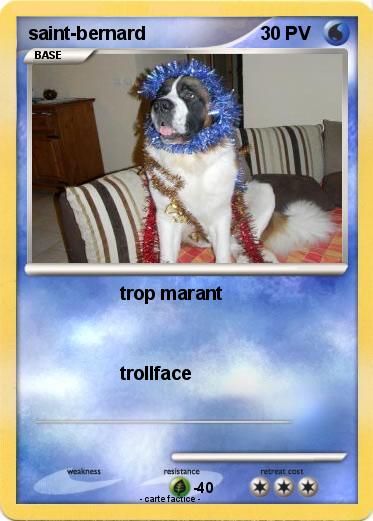 Pokemon saint-bernard