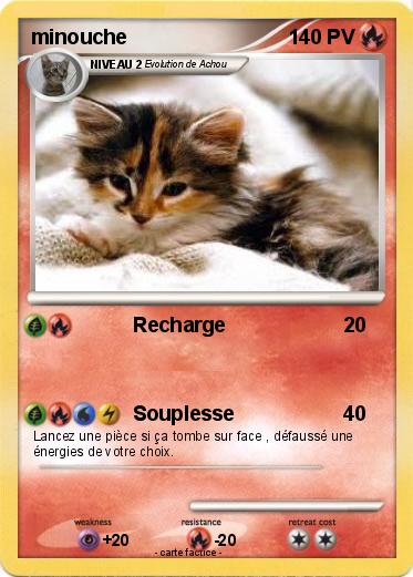 Pokemon minouche