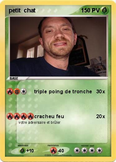 Pokemon petit  chat