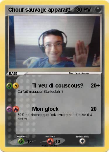 Pokemon Chouf sauvage apparait!