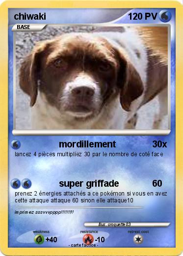 Pokemon chiwaki