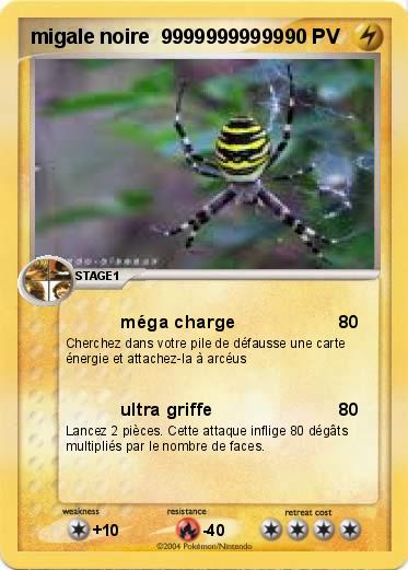 Pokemon migale noire  99999999999