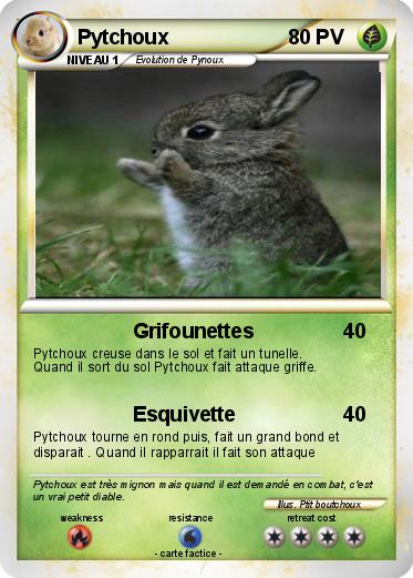 Pokemon Pytchoux
