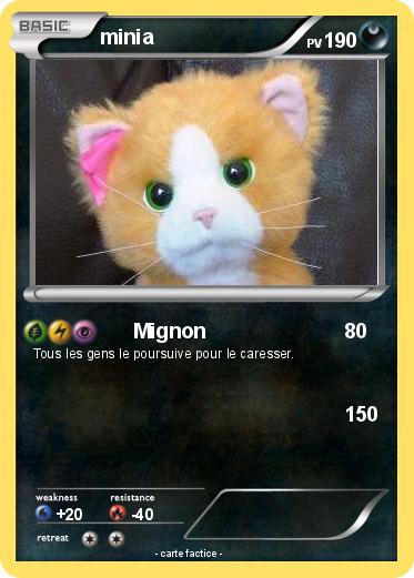 Pokemon minia