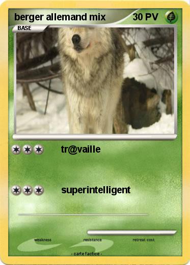 Pokemon berger allemand mix