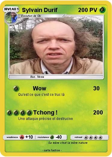 Pokemon Sylvain Durif