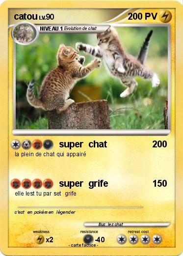 Pokemon catou