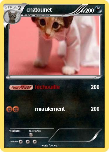 Pokemon chatounet