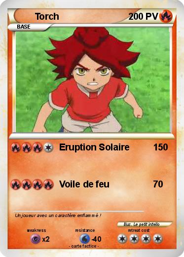 Pokemon Torch