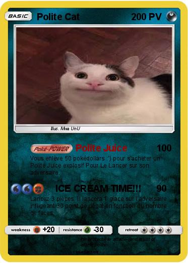 Pokemon Polite Cat