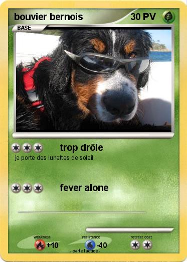 Pokemon bouvier bernois