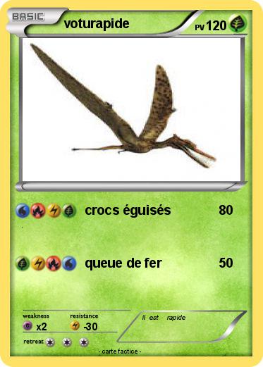 Pokemon voturapide