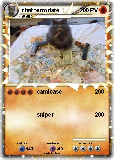 Pokemon chat terroriste