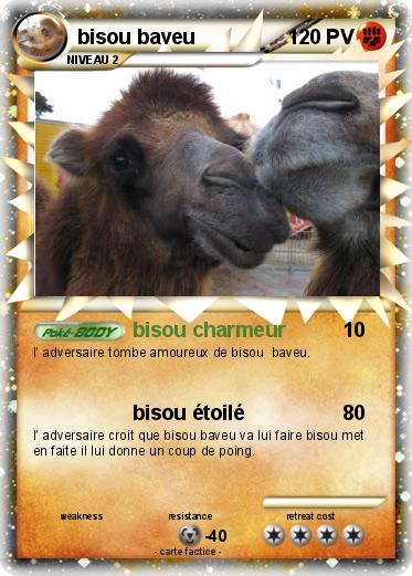 Pokemon bisou baveu