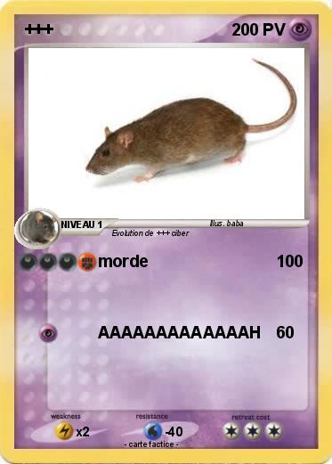 Pokemon +++