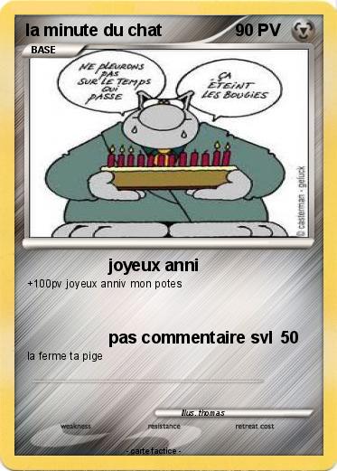 Pokemon la minute du chat