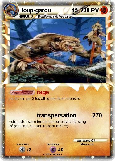 Pokemon loup-garou             45