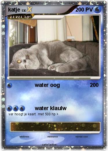 Pokemon katje