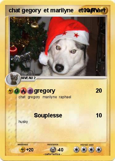 Pokemon chat gegory  et marilyne   et raphael