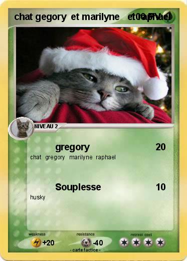 Pokemon chat gegory  et marilyne   et raphael