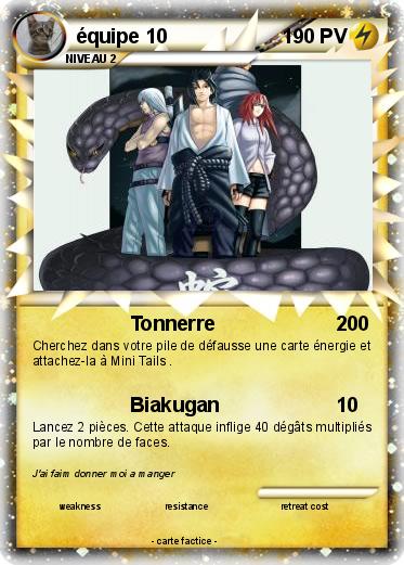 Pokemon équipe 10