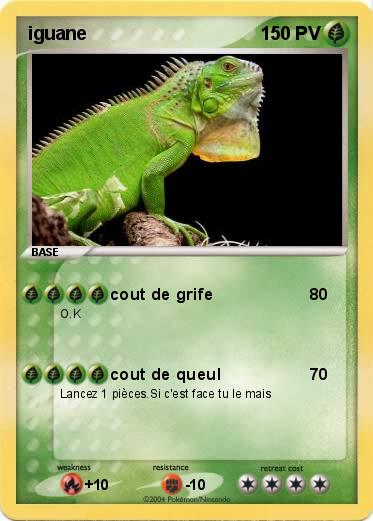 Pokemon iguane