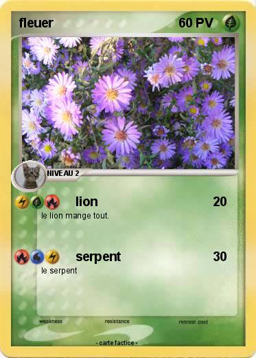 Pokemon fleuer